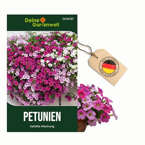 Petunien Einfache Mischung Samen - Petunia hybrida - Petuniensamen - Blumensamen - Saatgut für 200 Pflanzen – 3er Pack