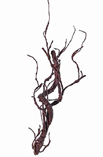 artplants.de Künstlicher Zweig Korkenzieherweide JACE, braun - rot, 45cm