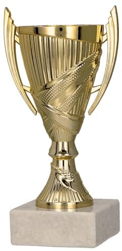 Larius Trophée Vainqueur - Coupe d'honneur Football, Cadeau Trophée avec/sans Texte Personnalisé (sans Texte, Gold)