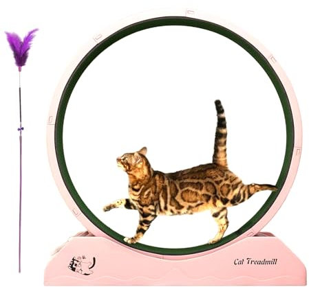 Indoor-Haustier-Trainingsgerät – leises Holz-Laufband, großes Katzen-Laufrad, Katzen-Trainingsrad, rutschfestes Teppichfutter, sicheres Sicherheitsverriegelungssystem, stabiles Birkenholz-Design