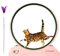 Indoor-Haustier-Trainingsgerät – leises Holz-Laufband, großes Katzen-Laufrad, Katzen-Trainingsrad, rutschfestes Teppichfutter, sicheres Sicherheitsverriegelungssystem, stabiles Birkenholz-Design