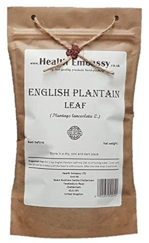 Health Embassy English Plantain Leaf | Plantago lanceolata L | 50g
