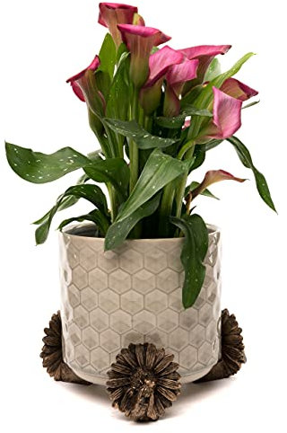 Potty Feet Bee Figures Plant Pot Feet - Planter Support - Handmade Decorative Ornaments - 3pcs