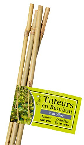 La cordeline LTB120-20 Bambusstäbe, Länge 120 cm, Durchmesser 8/10 mm, 20 Stück, Natur