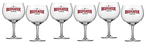 TIGREBOCK 6 Verres Piscine GIN Beefeater 50CL HT.19.20CM