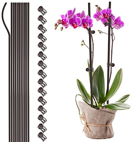 Takefuns Plant Support Stakes, 60CM, Plastic Coated Steel, Brown, Plant Clips and Stakes for Garden Orchid Flower Small Plants