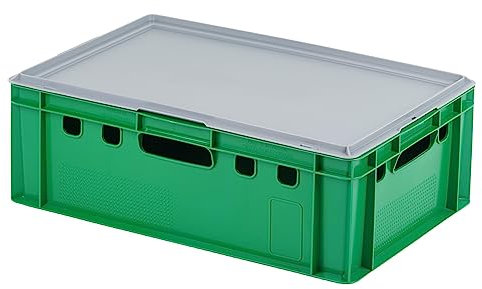 E2 Kiste mit grauem Deckel 600 x 400 x 200 mm Fleischkiste Lagerkiste Metzgerkiste in grün