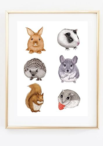 Din A4 Kunstdruck ohne Rahmen - Süße Nagetiere - Meerschweinchen Kaninchen Igel Chinchilla Hamster Eichhörnchen - Bild Poster