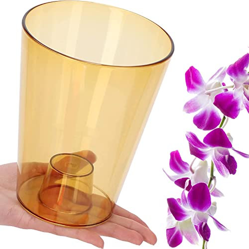 B2C Plant Orchid Pot Plastic 8 Colours Gloss Oval Planter Transparent Clear 12 cm (Honey transparent, Round)