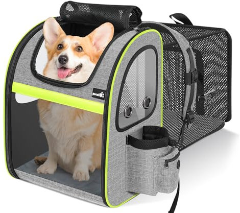 Pecute Zaino per Cani Espandibile, PortatileTrasportino per Gatti,per Apertura Superiore/Mesh Visibile/Cintura di Sicurezza/Tasche,Schienale allungabile Più spazio, grigio