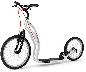 YEDOO Mula Tretroller - bis 150 kg, Kickscooter mit Luftreifen 20/16 - für Erwachsene, Scooter Roller mit Ständer und verstellbarem Lenker, Dogscooter, weiß