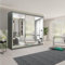 A.C. Milan German Modern Double Mirror sliding door wardrobe with LED Light Width 100cm/120cm/150cm/180cm/203cm/250cm (Grey, 250 CM)