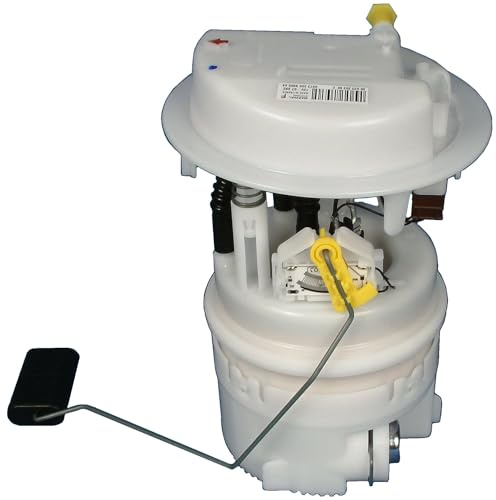 Delphi FE10042-12B1 Fuel Pump