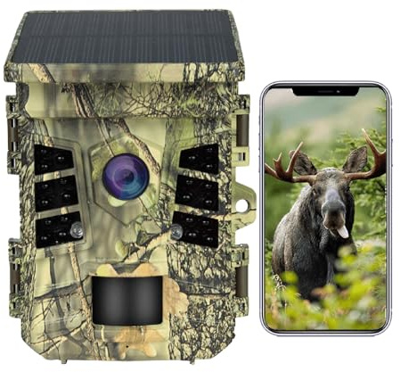 doorslay Solar Wildkamera 4K 30fps, Wildtierkamera mit Bewegungsmelder Nachtsicht, 16MP Jagdkamera, 0.2s Auslösezeit, IP66 Wasserdicht für Wildlife Monitoring & Heim Sicherheit
