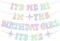 Taylor Its Me Hi Im The Birthday Girl Banner Irish Birthday Party Decorations, Cumpleaños Banner Cartel Fondo para Niñas Decoración de Música Set T-Swizzle Tema Singer Party