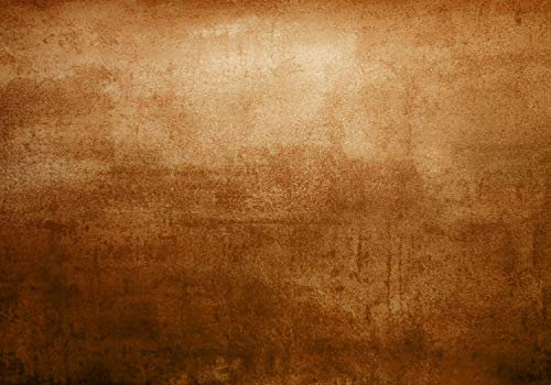wandmotiv24 Fototapete Rost Metallisch Antik, XXL 400 x 280 cm - 8 Teile, Wanddeko, Wandbild, Wandtapete, braun, Metalloptik, Vintage M1415