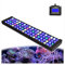 PopBloom Hertz54 aquarium beleuchtung led meerwasser led für aquarium led lampen aquarium 50-70cm marine reef salzwasser tank