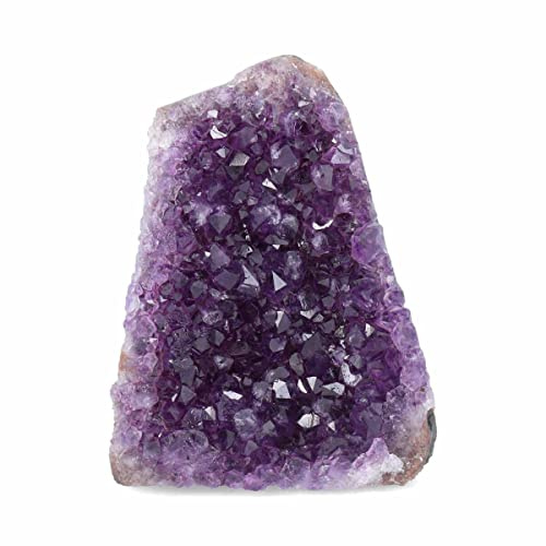 Deep Purple Project Große Amethyst-Geode (2 bis 1,1 kg) Bergsteine Kristalle aus Uruguay