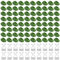TAIHOBO 100 Pezzi Clip per Piante, Supporto per Piante da Interno Autoadesiva, Gelsomino Rampicante, 80 Clips per Pothos a Forma di Foglie e 20 Supporto Piante Bianchi, per Bagno Soggiorno Giardino