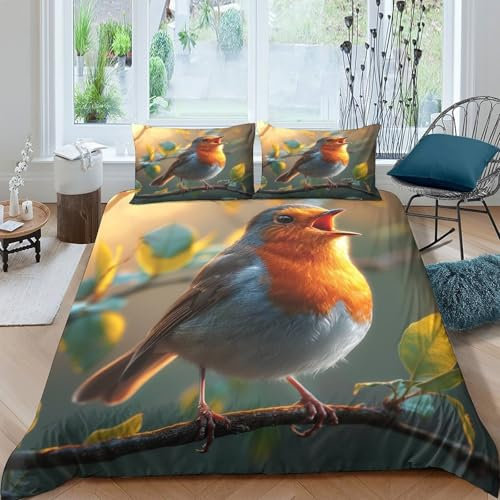 GTDKSUEVG Robin Vogel Bettbezug Bettwäsche Kinderbettwäsche Reißverschluss Mit Kissenbezug Betten Set Für Jungen Und Mädchen, Kinder King（220x240cm）