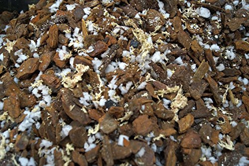 80 Liter Orchideensubstrat Premium Orchideenerde von BLÜHKING®