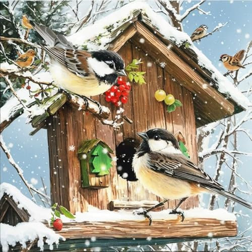 Bimkole 5D DIY Diamond Painting Zubehör Diamant Malerei Kit Vögel Winter Hütten Bohren voll Strass Set, Gemälde Malen nach Zahlen mit Dekoration 30 * 30 cm (d3-527)