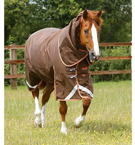 Premier Equine Outdoor-Decke für Pferde mit Nackenrolle Titan 300 g