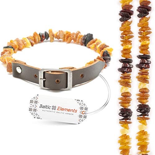 Bernsteinkette Hund & Katze – Verstellbares Bernsteinhalsband – Bernstein Halsband für große & kleine Hunde und Katzen (30-35 cm)