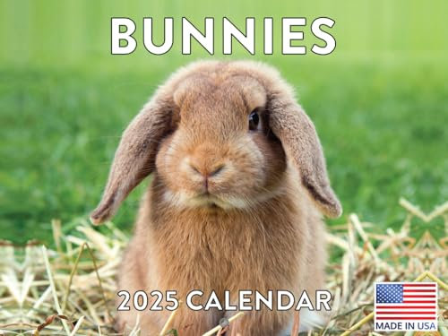 Bunnies Wandkalender 2022, niedlich, lustig, Baby, Hasen, Wildtiere, Fotografie, Tiere, groß, 18-Monatskalender, monatlich, vollfarbig, dicke Papierseiten, gefaltet, fertig zum Aufhängen, Planer,