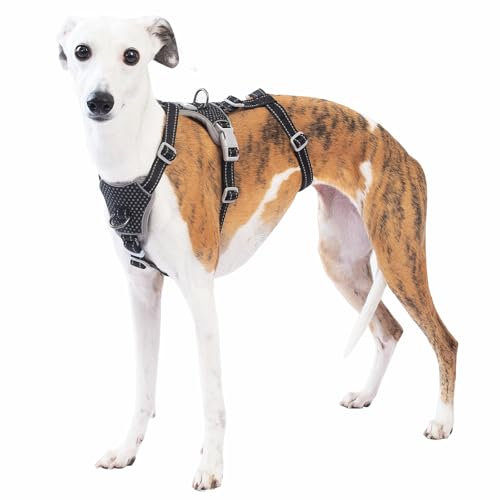 Huntboo Sicherheitsgeschirr Hund Ausbruchsicher, Panikgeschirr für Hunde, Anti Zug Hundegeschirr, Reflektierend, Verstellbare, Leichte Weste für kleine, mittelgroße und große Haustiere (Schwarz,L)
