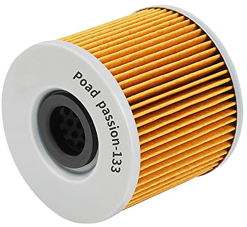 Road Passion Ölfilter für GS500H 2007-2009 / GS500F 2004-2010 / GS500E 1988-2000