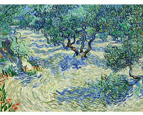 Vincent Van Gogh Kunstdruck auf Leinwand, Motiv Olivenbaum, groß