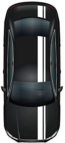 Finest Folia Rennstreifen Racing Stripes 5mx15cm und 10mx5cm Rallystreifen Viperstreifen für Fahrzeuge Auto Kfz Zubehör Tuning Streifen für Motorhaube Dach Heck (Weiß Glanz)