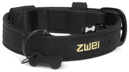 ZWEI Hundehalsband Leo LE10 aus hochwertigem Kunstleder, Elegantes Halsband verstellbar für kleine & mittelgroße Hunde mit Halsumfang von 28-38 cm, viele Farben