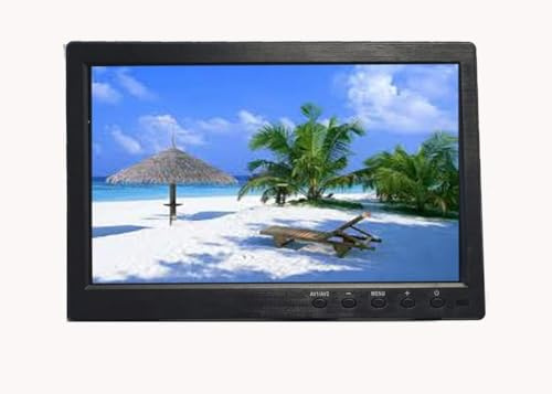 SQUADO Monitor LCD 10,1 Pollici per Auto, Retrovisore con Schermo Ampio, 2 Ingressi AV