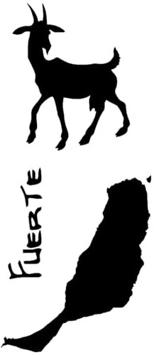 Samunshi® Aufkleber Fuerteventura Aufkleberset 6,5 x 15cm schwarz