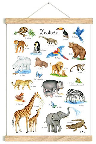 fioniony ZOOTIERE POSTER 50 x 70 cm UNGERAHMT OHNE HOLZLEISTE Tierposter Lernposter Schulanfang 1. Klasse Kinderzimmer Weihnachtsdeko Baby Bilder Zoo Wald Safari Afrika Kindergarten