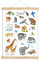 fioniony ZOOTIERE POSTER 50 x 70 cm UNGERAHMT OHNE HOLZLEISTE Tierposter Lernposter Schulanfang 1. Klasse Kinderzimmer Weihnachtsdeko Baby Bilder Zoo Wald Safari Afrika Kindergarten