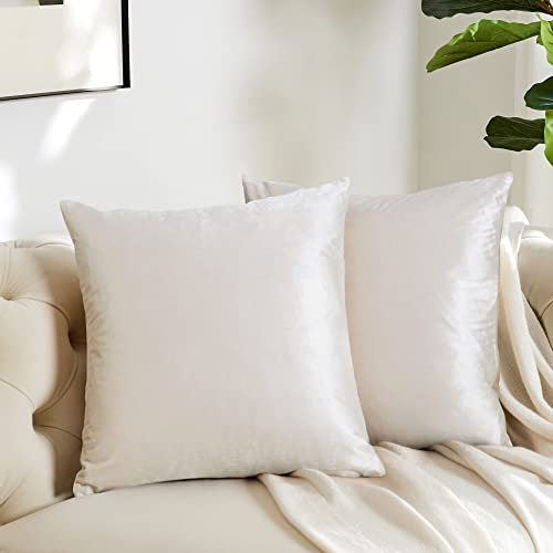 GIGIZAZA Kissenbezug 40x40 cm Kissenbezüge Creme Samt Kissenhülle Zierkissenbezug Dekokissen für Sofa Schlafzimmer Wohnzimmer 2er Set