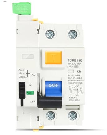 Rccb Rcd 6KA AC 2P 230V Type dispositif de réenclenchement automatique disjoncteur différentiel 63A 30mA 100mA 300mA disjoncteur intelligent 1 pièces(Size:2Pole 300mA,Color:63A)