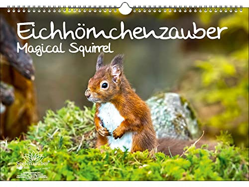 Eichhörnchenzauber DIN A3 Immerwährender Kalender Eichhörnchen - Seelenzauber