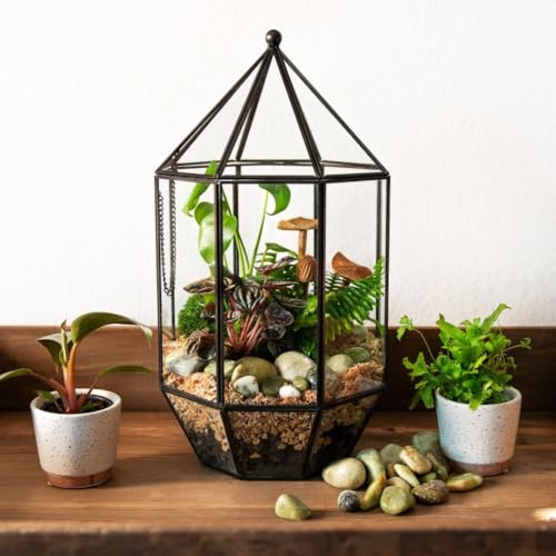 SuperMoss Glas-Terrarium (90405) – Elegante Gartendekoration für den Innenbereich, Pflanzenliebhaber, Moderne Dekoration für Zuhause und Büro, 19,1 x 19,1 x 35,6 cm, Gewächshaus