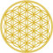 Samunshi® Lebensblume Wandtattoo Blume des Lebens Aufkleber Wandbild Blumen Wandsticker Yoga Sticker Wanddeko 20 x 20cm goldmetalleffekt