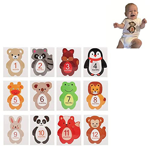 12Pcs Baby Meilenstein Karten, 12 Stück Fotokarten für 1-12 Monate, Foto Requisiten für Babyparty