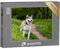 puzzleYOU: Puzzle 1000 Teile „Aufmerksamer Sibierischer Husky“ – aus der Puzzle-Kollektion Hunde, Huskys, Tiere des Nordens