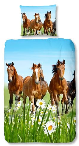 Traumschloss Renforcé Bettwäsche »Horses«, Pferde, Wiese, grün, 135x200 & 80x80, 100% Baumwolle, atmungsaktiv & weich, Kinderbettwäsche-Set mit Reißverschluss bestehend aus Kissen und Bettbezug