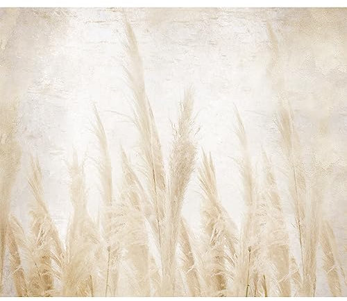 murando - Fototapete Premium-Vlies Natur 350x256 cm - Foto Tapete Schlafzimmer Wohnzimmer Moderne Vliestapete XXL Wandtapete Motivtapeten Bildtapete 3d Effekt Dekoration - Gras Beige b-A-10194-a-a
