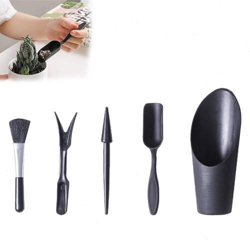 Lot de 5 outils de plantation succulente - Mini outils de jardinage d'intérieur - Pour l'entretien des plantes grasses et le jardinage