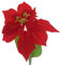 Gasper Weihnachtsstern - Poinsettie Rot 60 cm - Kunstblumen