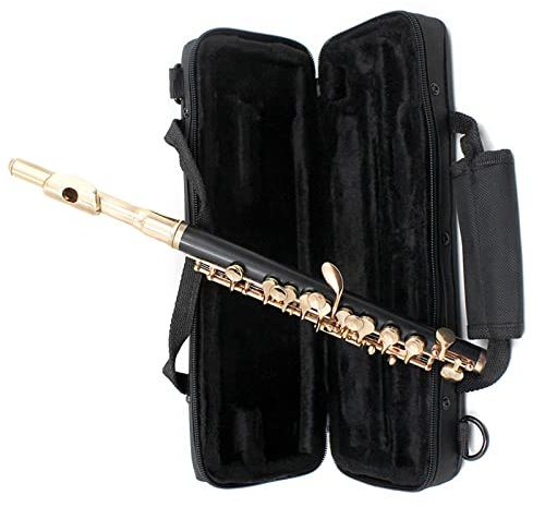 KERREY Professionelles Querflöten Goldene Flöte In Halber Größe, Cupronickel, Vergoldeter C-Tastenton Mit Poliertuch-Reinigungsstift-Set-Etui